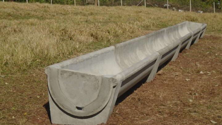 Cocho de Concreto para gado