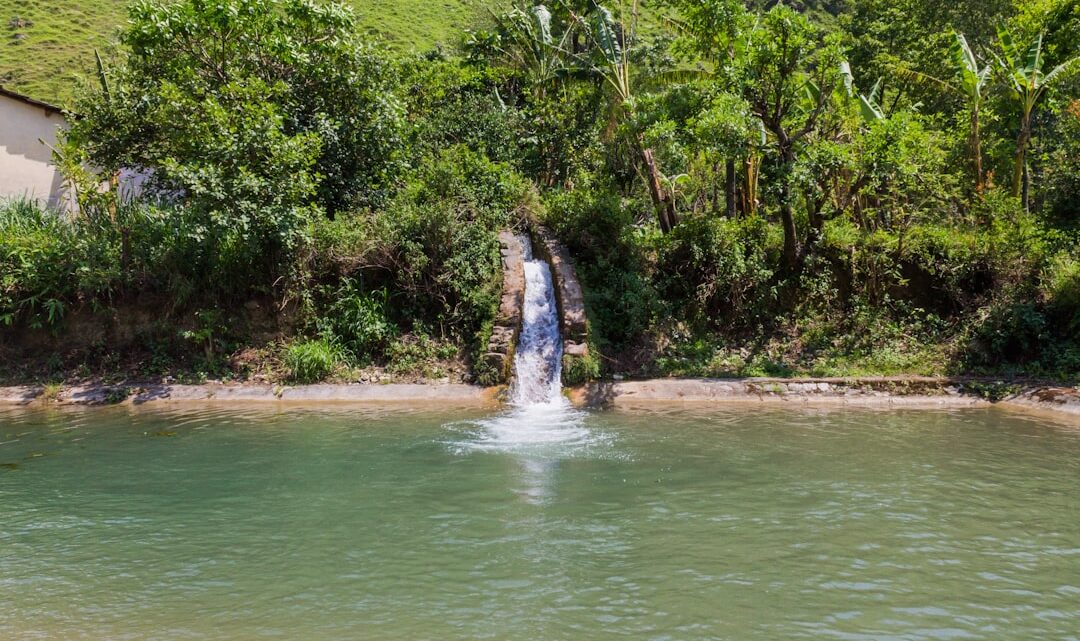 Uma Pequena Cachoeira Desagua Em Uma Piscina Clara Y9r_hL4Xp0o
