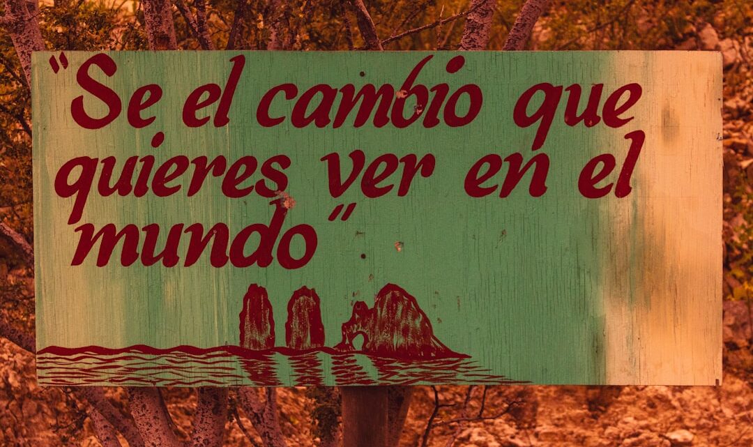 Sinalizacao De Madeira Marrom Pendurada Na Arvore Marrom 9ATauSp2zMA