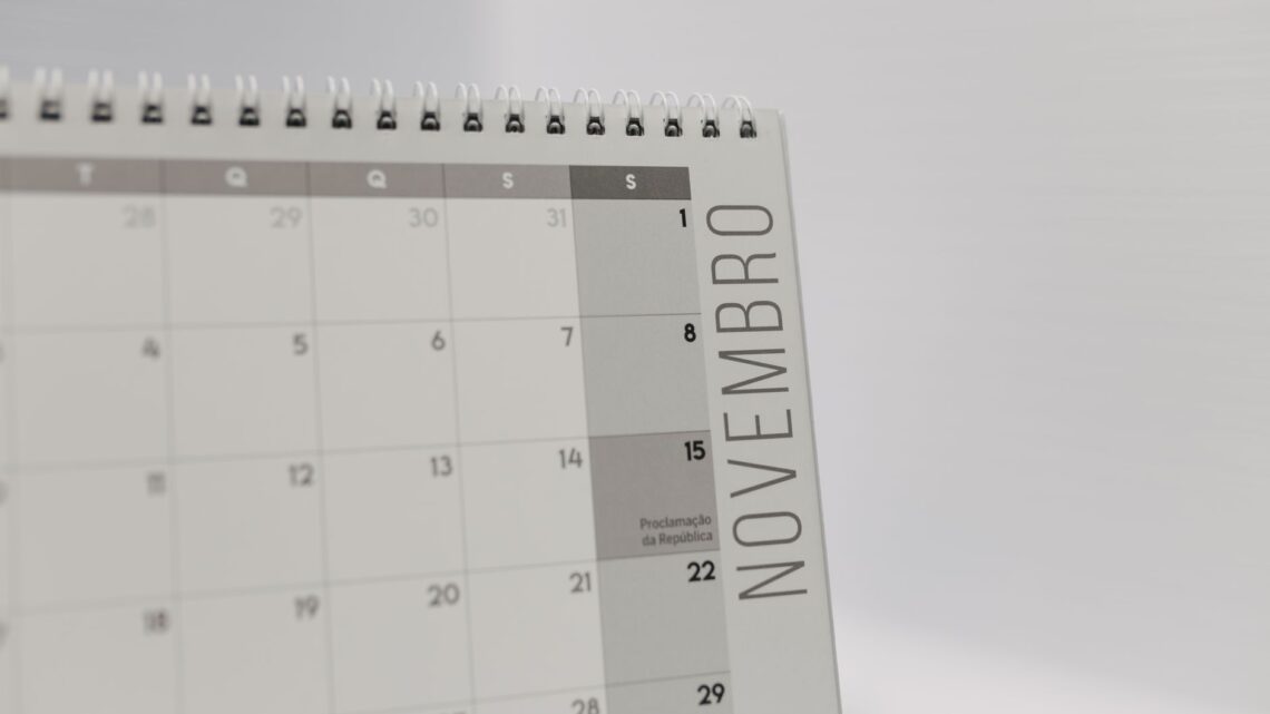 Close-up image of a November calendar page, featuring a minimalist design.