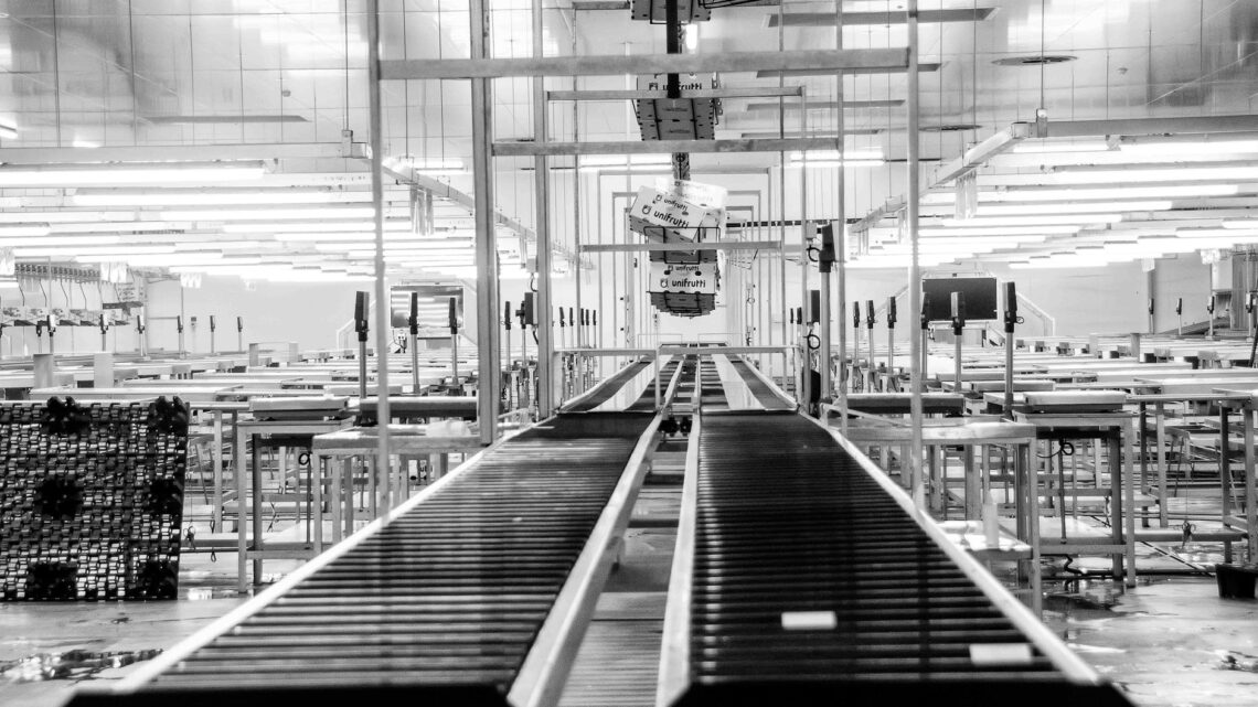 Modern conveyor system in a monochrome industrial factory setting in Redelinghuys, South Africa.