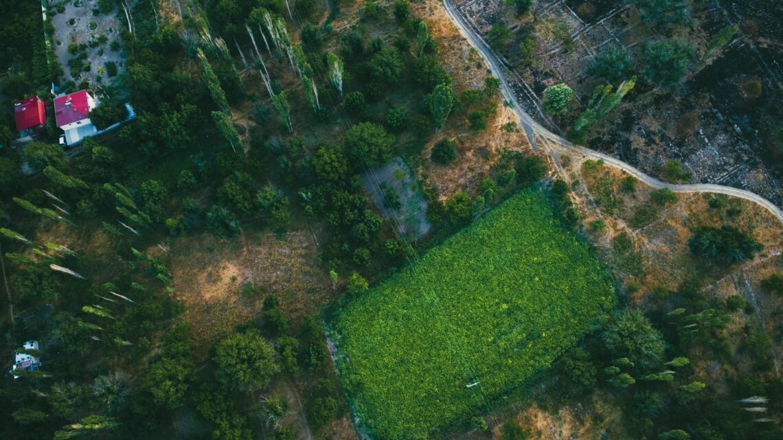 Aerial photograph showcasing vibrant green fields in Develi, Kayseri, Türkiye, highlighting agricultural beauty.